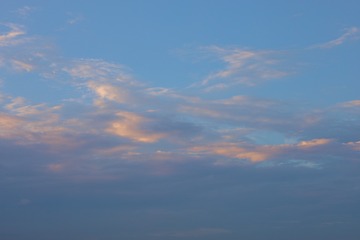 A42177BD-139B-4705-B611-30CD19261518/L0/001