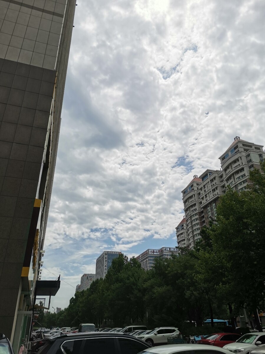高楼