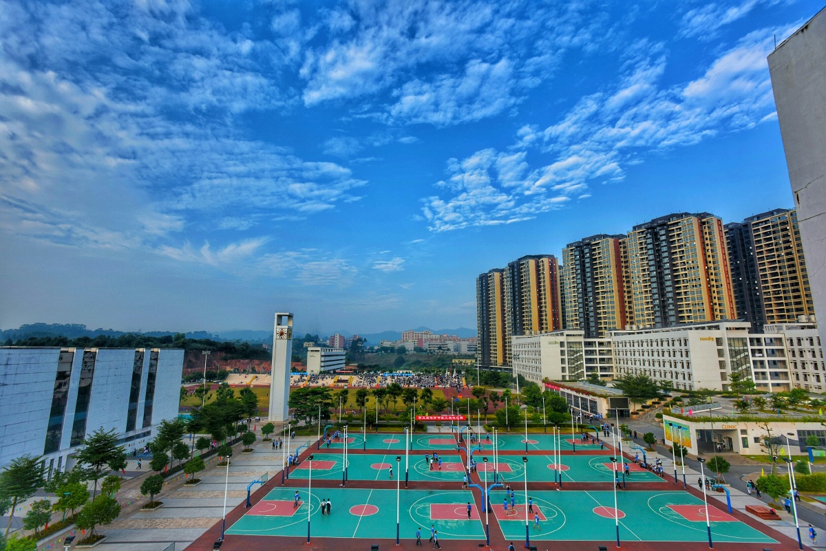 爱外 - 校园, ssfls, 风光, 深圳第二外国语学校 - 