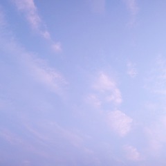 1920494