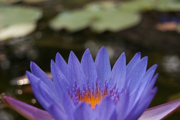 _DSC3294