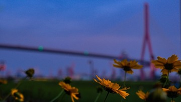 8F1AED28-B176-4501-A91D-49F3C5EC4EAB/L0/001