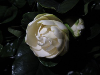 33E4FAB5-E05B-4486-836E-E6CF4024390A/L0/001