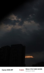 1000286228