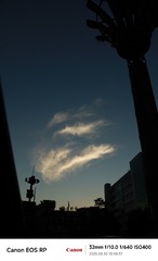 1000286493