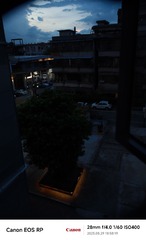 1000286216