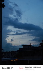 1000286213