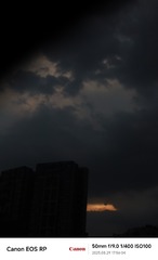1000286226