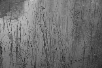 _DSC0276