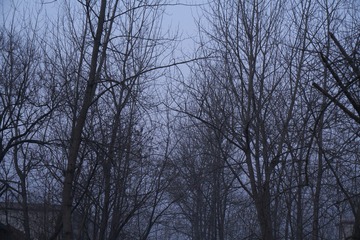 _DSC0278