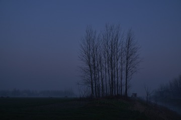 _DSC0285