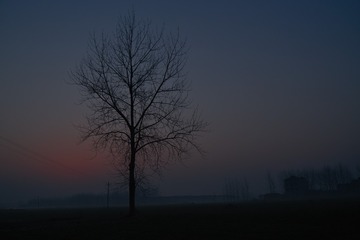 _DSC0290