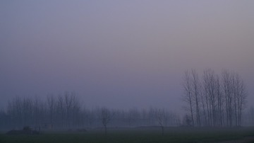 _DSC0291