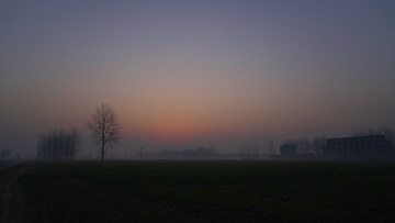 _DSC0295