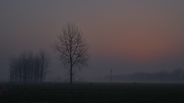 _DSC0296