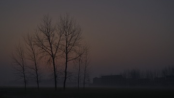 _DSC0301