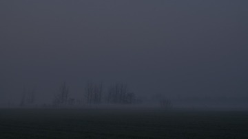 _DSC0303