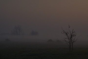 _DSC0310