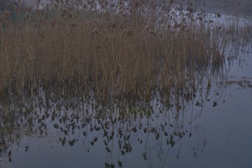 _DSC0314