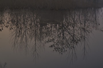 _DSC0316