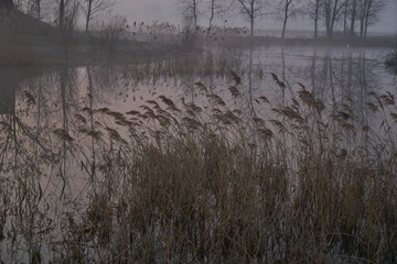 _DSC0319