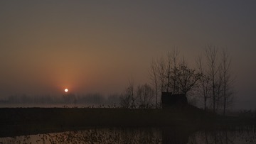 _DSC0323