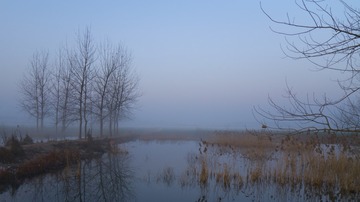 _DSC0325