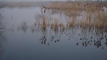 _DSC0326