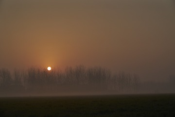 _DSC0328