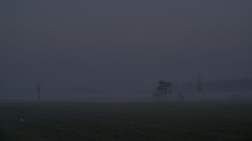_DSC0333