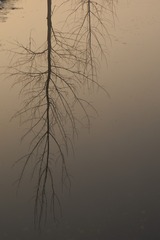 _DSC0335