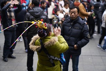 _DSC0454