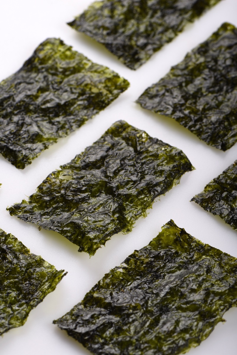 海苔- callfox - 图虫