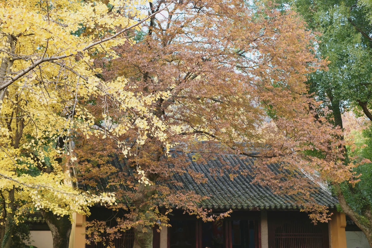 苏州天平山白云寺秋景