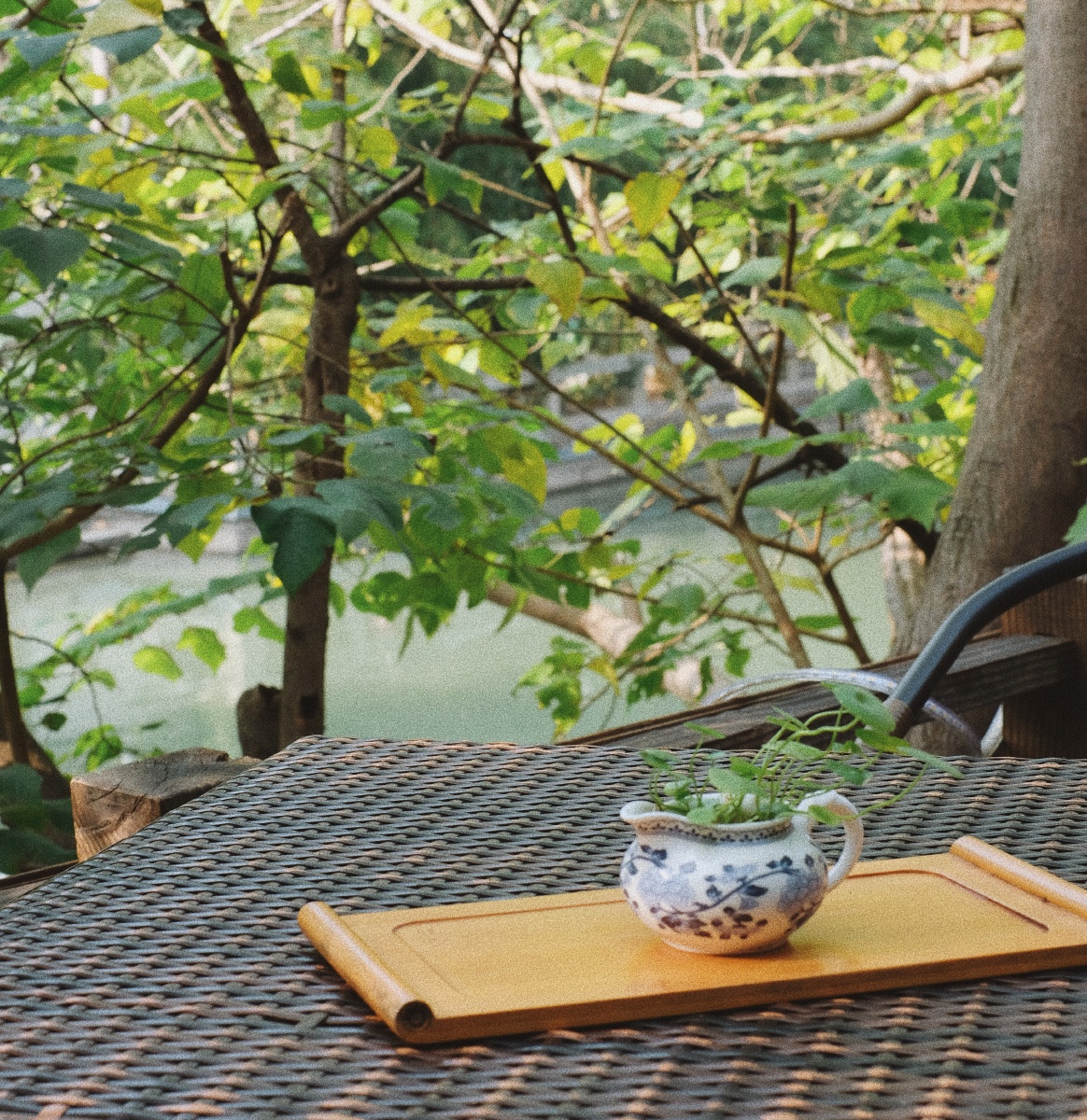 在苏州平江路一处风景绝佳的小茶馆喝下午茶