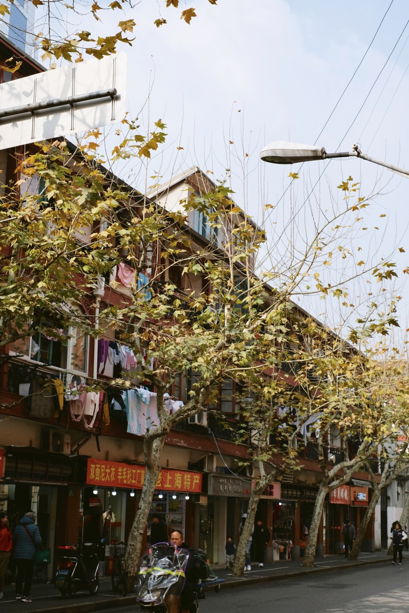 冬日的上海街头和弄堂 充满了复古的味道