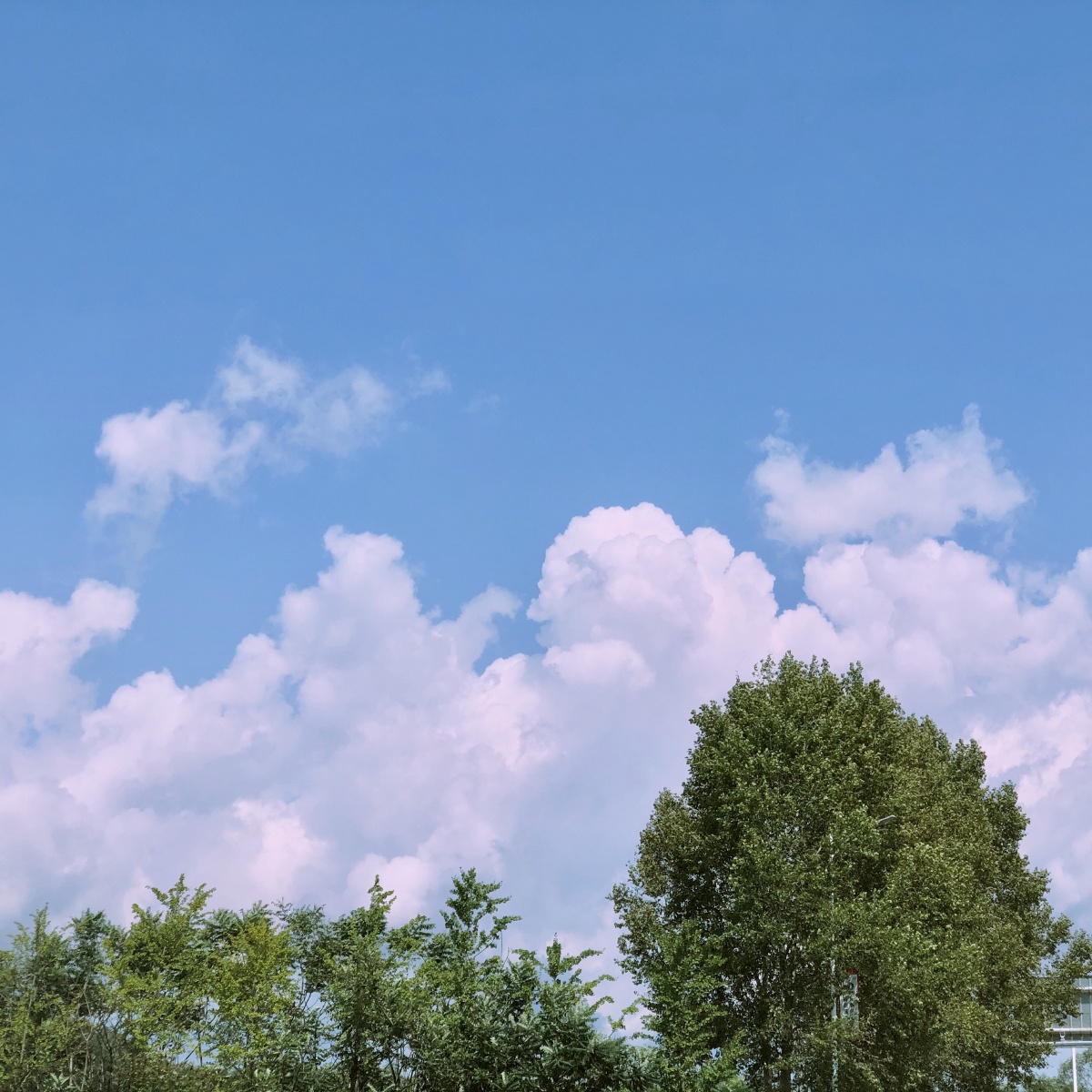 蓝天 白云 夏天 晴空 晴天 云 蓝天白云