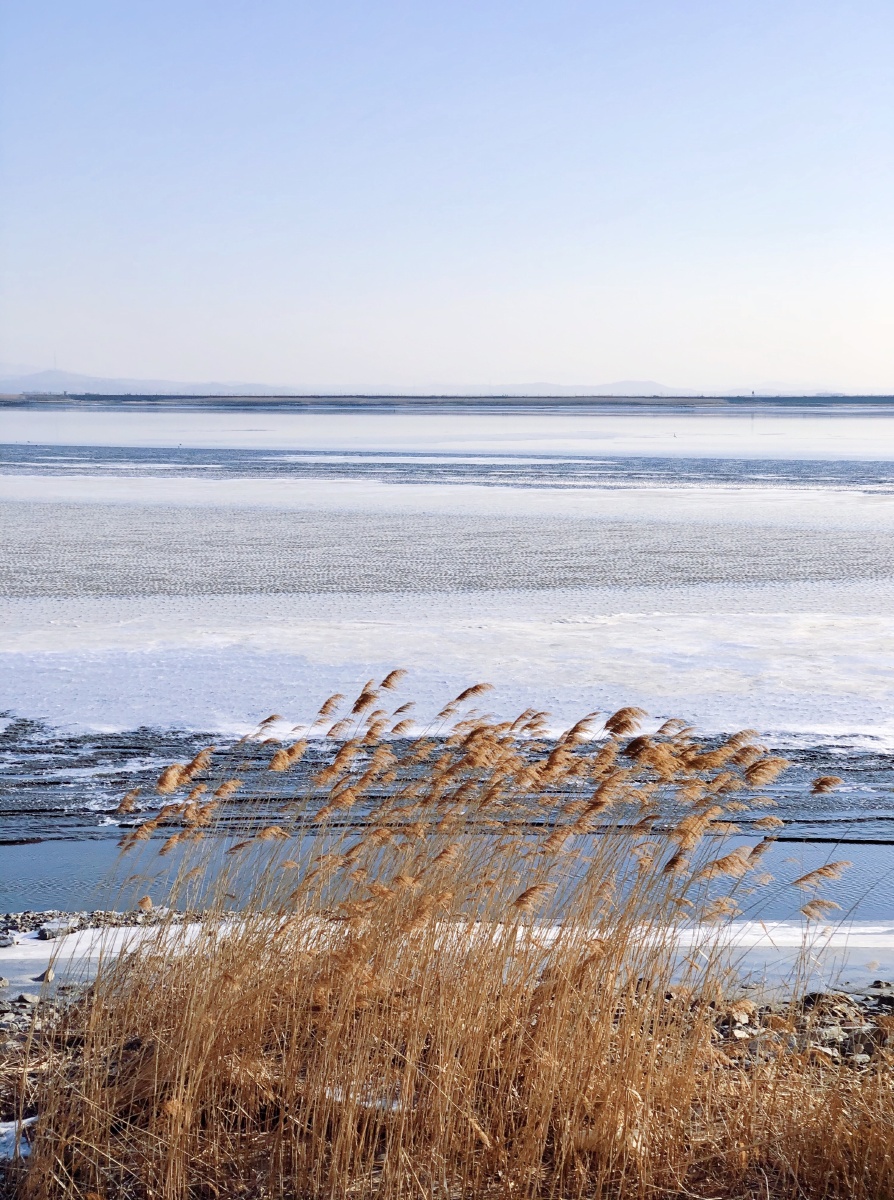 冬季 鸭绿江 雪 结冰的湖面 丹东