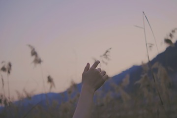 8E5A5640-85AA-48B3-BEA9-B9485A49AD0A/L0/001