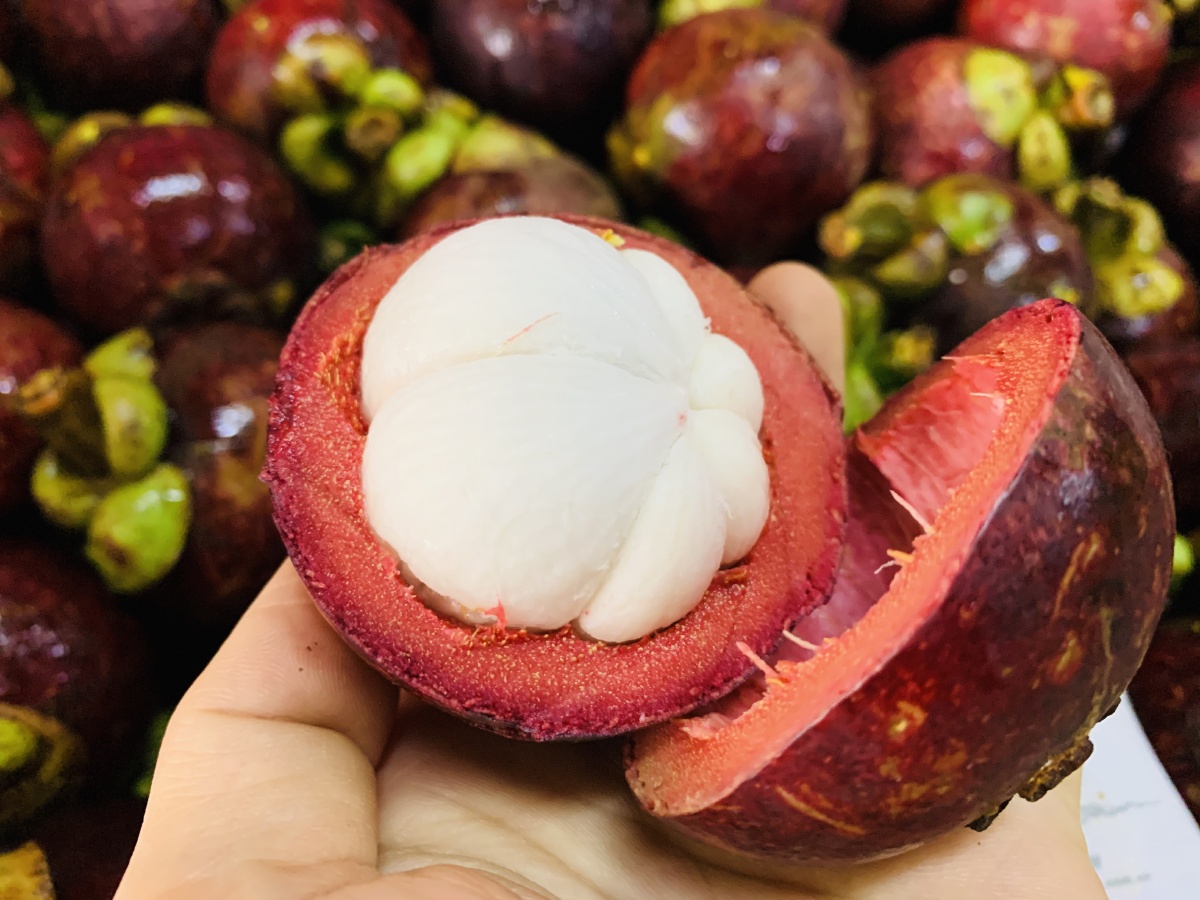 06泰国沙竹清热降火神器小麦水果第11篇