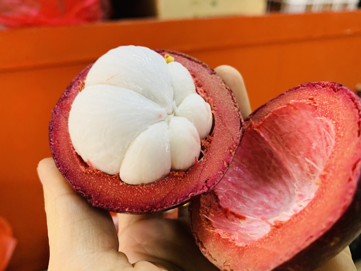 06泰国沙竹清热降火神器小麦水果第11篇