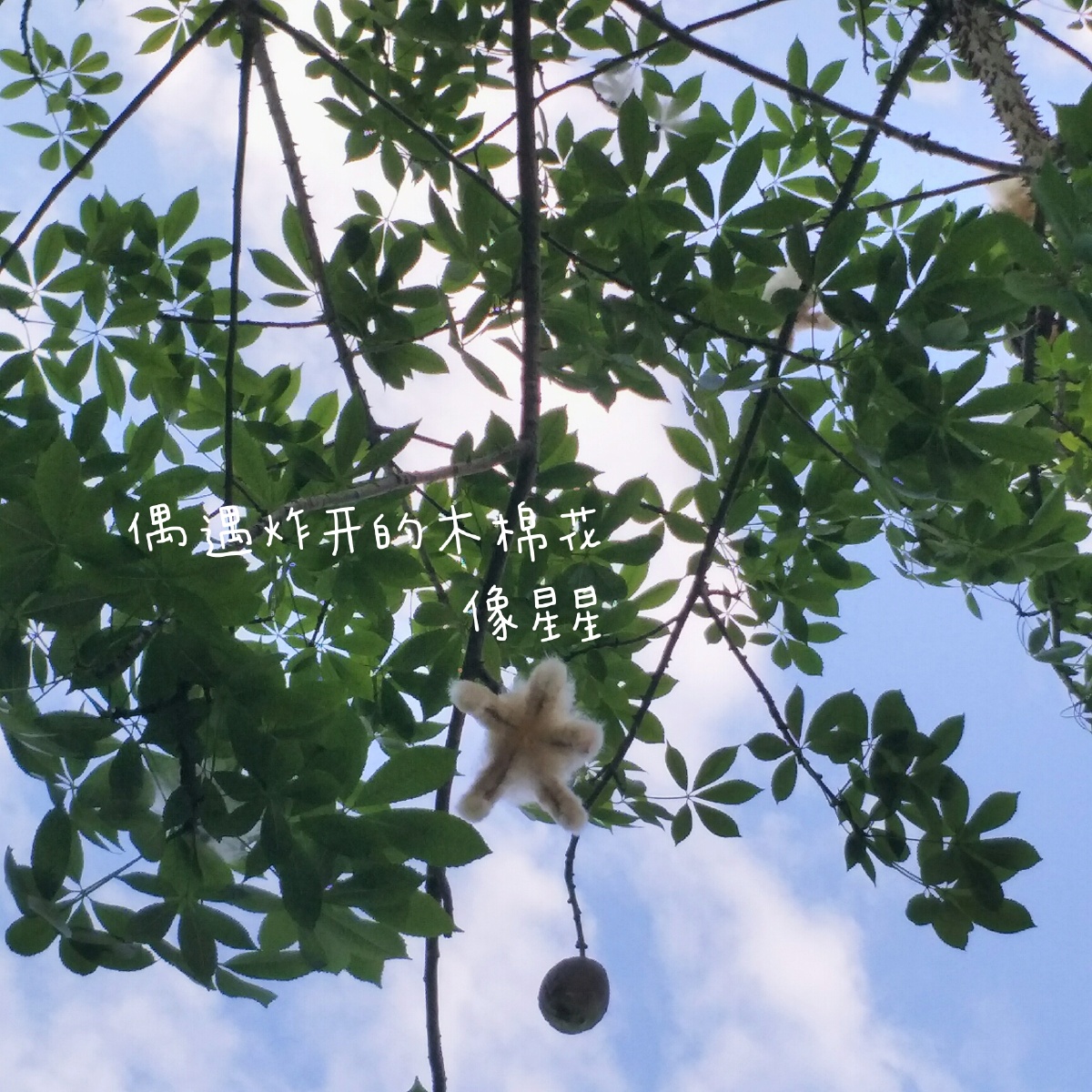 今日份快乐分享