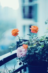 63B9C94B-303A-424F-A385-988BD956BB1F/L0/001