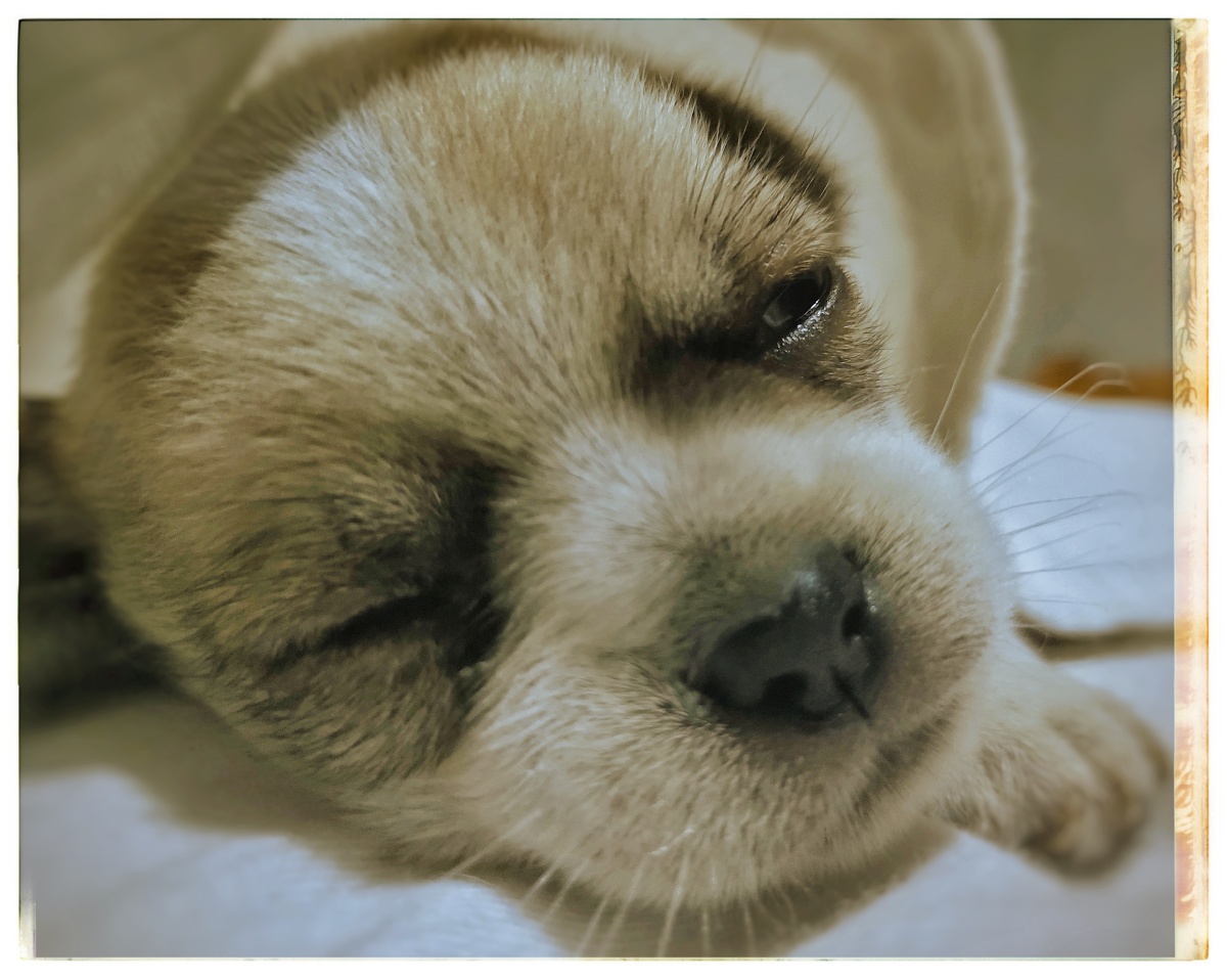 哎小小年纪就黑眼圈了