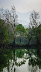 早春的西溪湿地