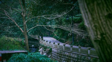 _DSC7807