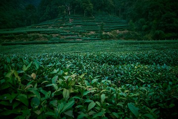 _DSC7837