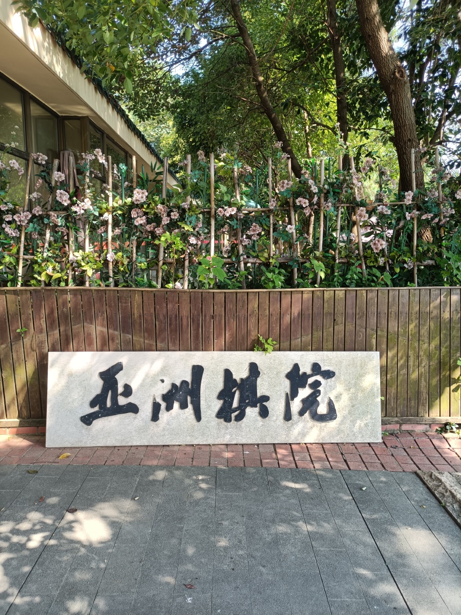 东湖亚洲棋院