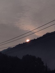1000014072