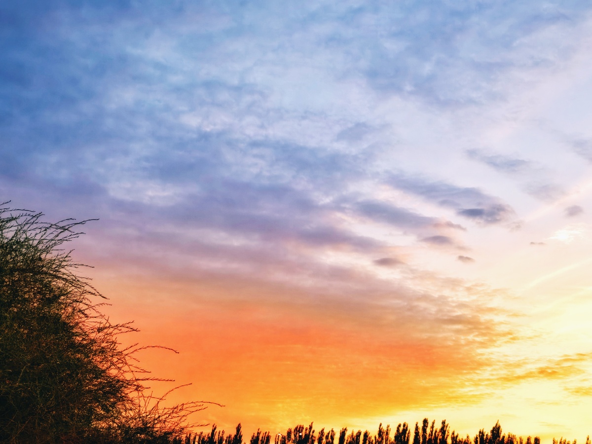 形态各异色彩艳丽的云